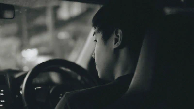 The Novelty Appraisal of the Feeling of Risk in Vehicles featured image